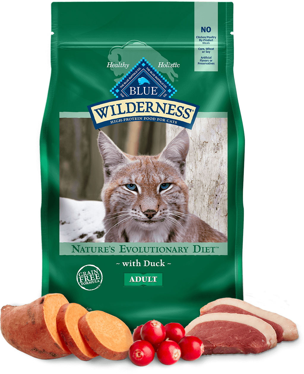 Blue wilderness kitten food review best sale